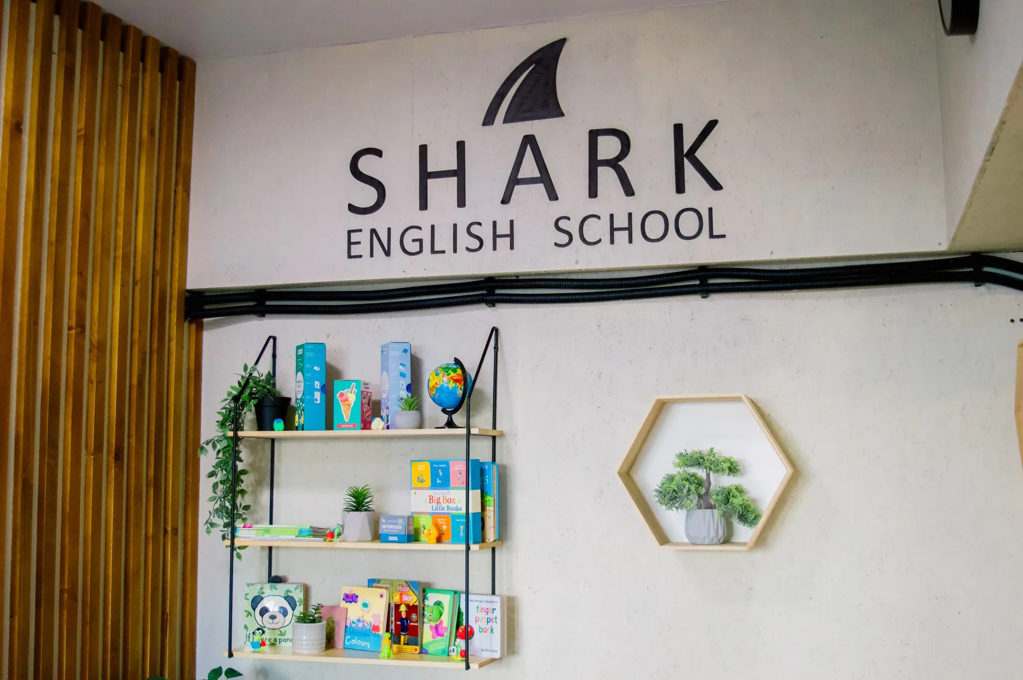 Shark School, Винники